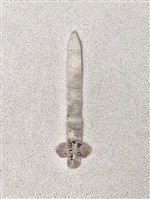 布袋飛劍藏品圖，第1張