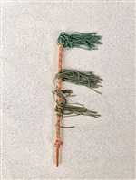 布袋馬鞭藏品圖，第1張