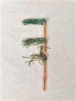 布袋馬鞭藏品圖，第2張