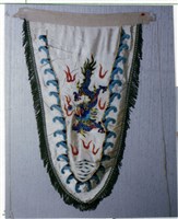 改良甲藏品圖，第2張