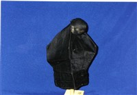 六角鑾藏品圖，第1張