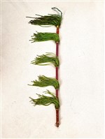 馬鞭藏品圖，第1張