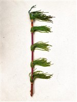 馬鞭藏品圖，第2張