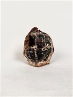 菜頭藏品圖，第2張