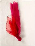 屍首藏品圖，第1張