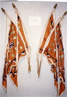 戰甲藏品圖，第2張