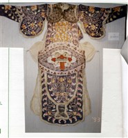 戰甲藏品圖，第1張