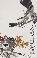 鷹藏品圖，第1張