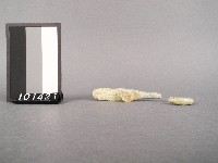 戰國鉤藏品圖，第2張