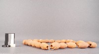 網墬藏品圖，第2張