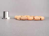 網墬藏品圖，第2張
