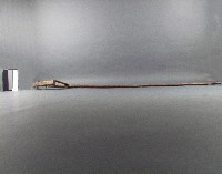 蟲刷(捕蟲梳)藏品圖，第2張