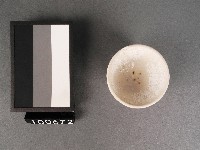 藍釉壽字杯藏品圖，第2張
