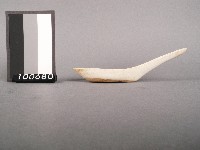 紅藍彩湯匙藏品圖，第2張