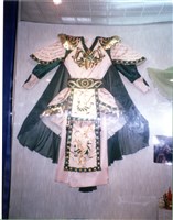 改良戰甲藏品圖，第1張