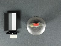 斗燈-斗籤藏品圖，第2張