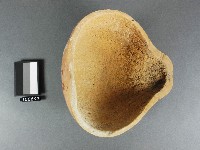 瓠勺藏品圖，第1張