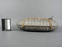 水龜藏品圖，第2張