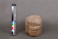 木化石藏品圖，第2張