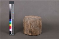木化石藏品圖，第4張