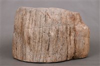 木化石藏品圖，第6張