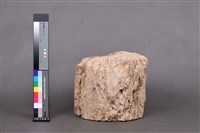木化石藏品圖，第3張