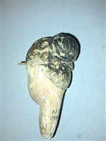 魁儡偶頭藏品圖，第2張