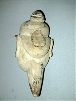 魁儡偶頭藏品圖，第2張