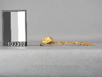 髮簪藏品圖，第2張