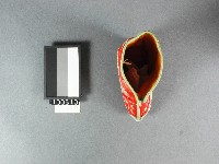 新娘鞋(左鞋)藏品圖，第2張