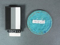 看花藏品圖，第2張