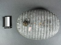 水龜藏品圖，第1張