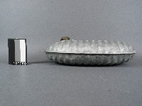 水龜藏品圖，第2張