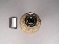 油燈藏品圖，第2張