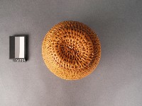 籐罐藏品圖，第2張