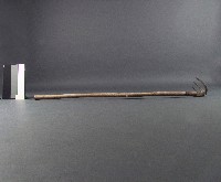 三齒耙仔藏品圖，第2張