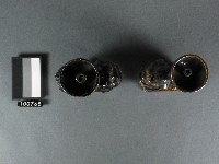 赤釉獅座燭台藏品圖，第2張