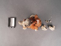 風神獅藏品圖，第2張