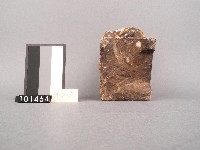 石獅藏品圖，第4張