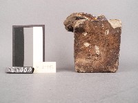 石獅藏品圖，第4張