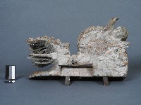 木雕貼金獅子藏品圖，第2張