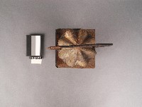 煤油燈藏品圖，第5張