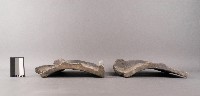 瓦片藏品圖，第2張