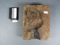 糖塔模型藏品圖，第1張