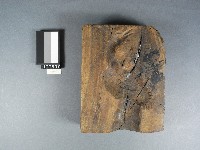 糖塔模型藏品圖，第1張