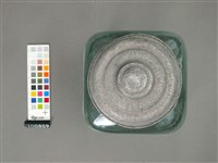 玻璃罐藏品圖，第4張