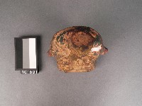 土地公藏品圖，第2張