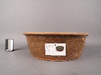 黃綠釉洗盆藏品圖，第3張