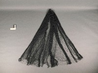 魚網藏品圖，第1張