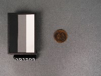 古錢(開國紀念幣)藏品圖，第2張